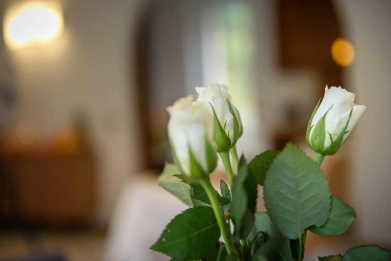 Bed & Breakfast Bed And Breakfast Sweet Home Tirano